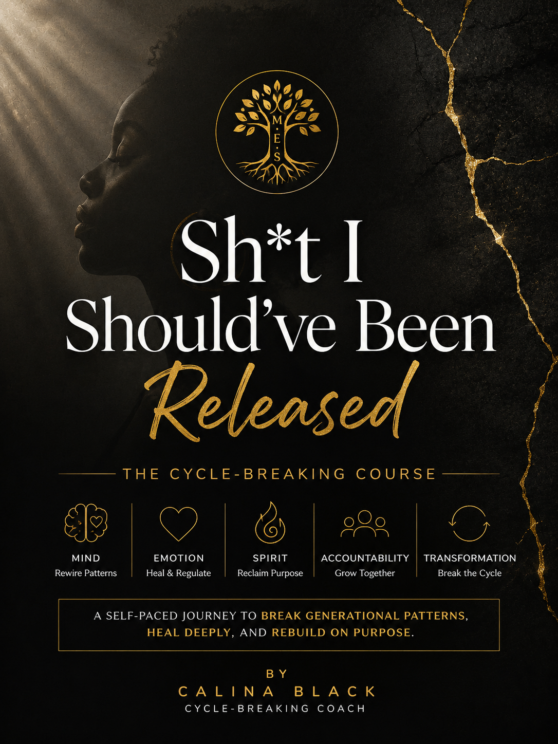 Sh*t I Should've Been Released Case Study Cohort